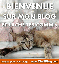 bienvenue sur mon blog